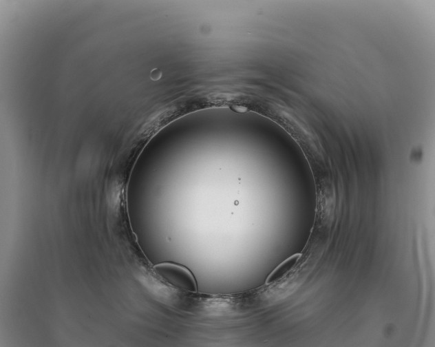 X0000094360574200711091517
