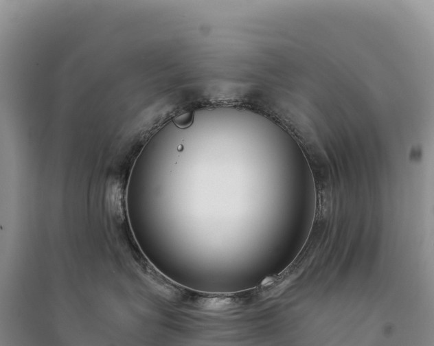 X0000094360575200711091517