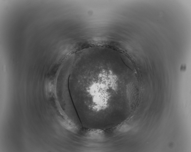X0000094360576200711091517