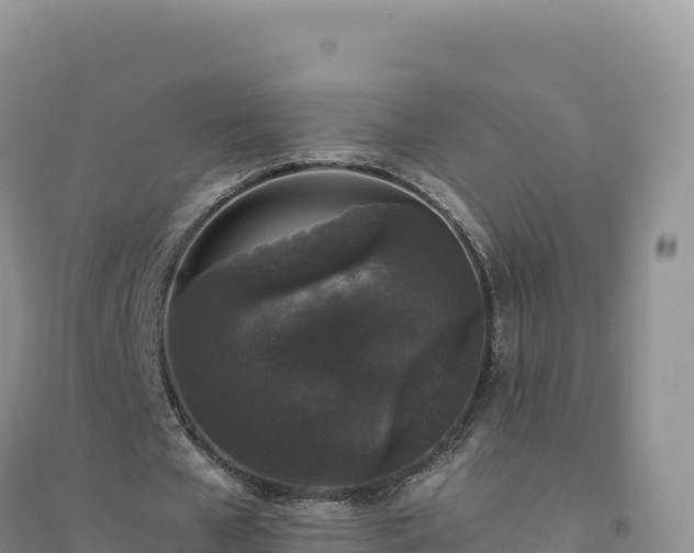X0000094360577200711091517