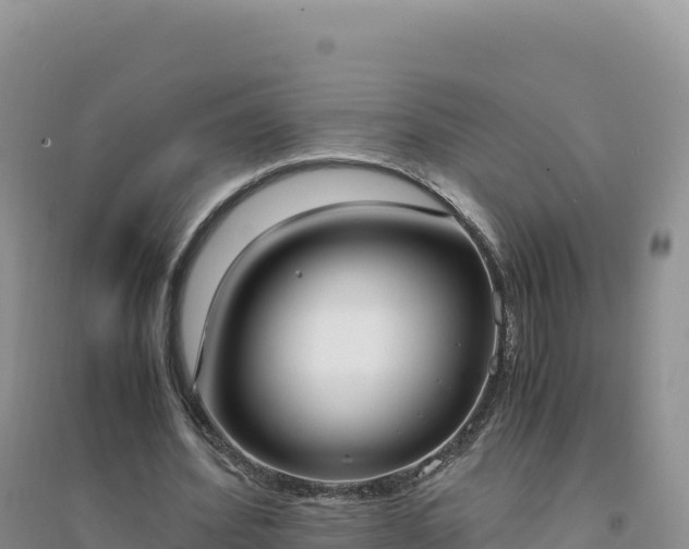X0000094360580200711091517