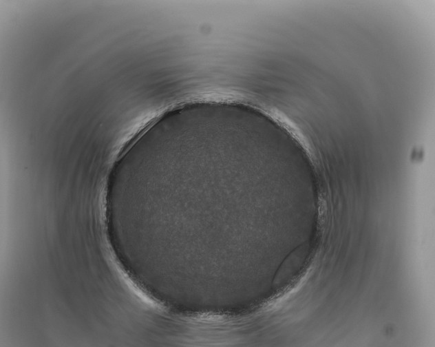 X0000094360581200711091517