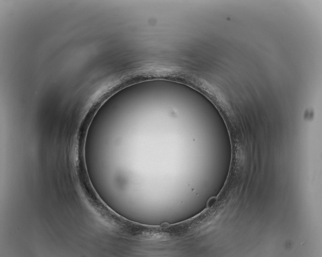 X0000094360582200711091517