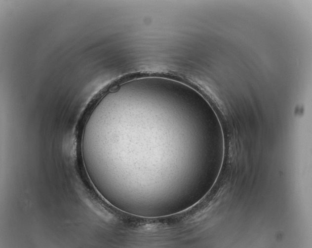 X0000094360584200711091517