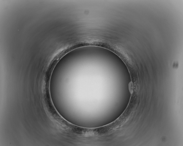 X0000094360587200711091517