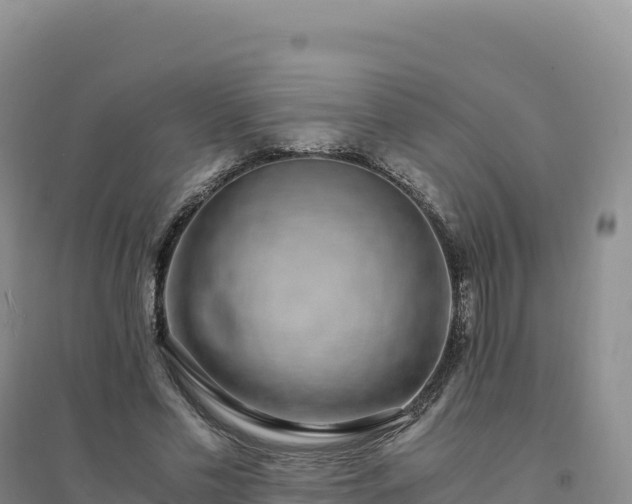 X0000094360589200711091517