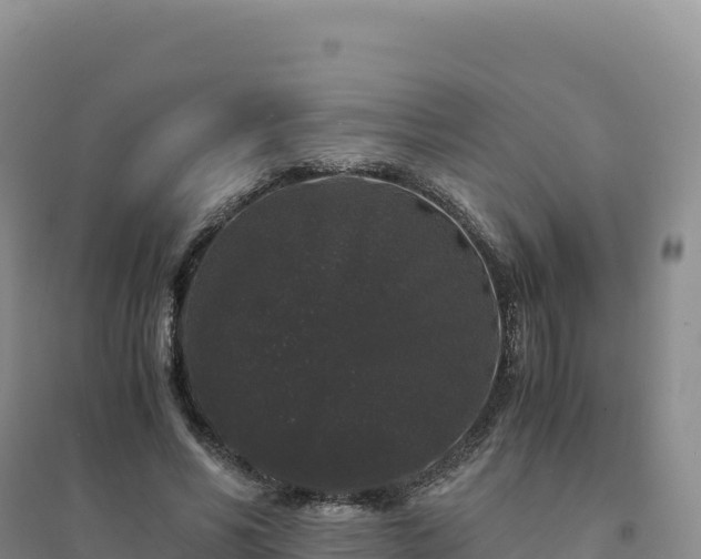 X0000094360590200711091517