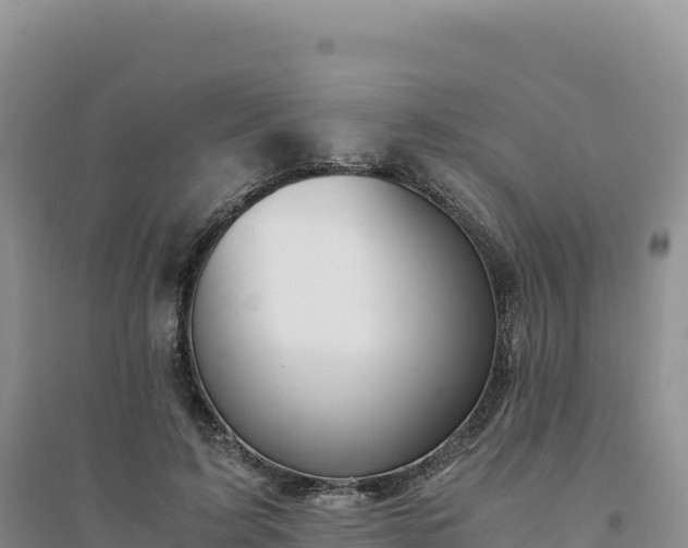 X0000094360595200711091517