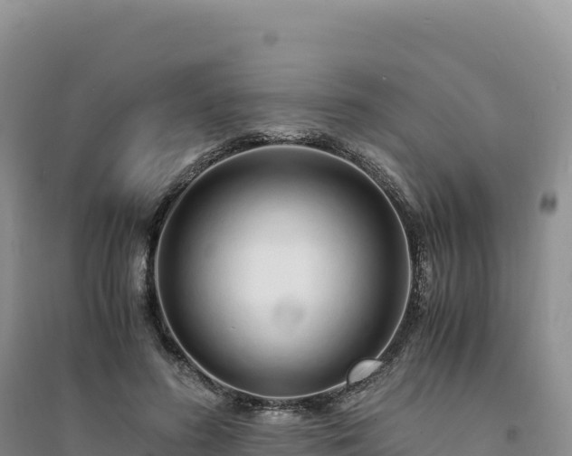 X0000094360596200711091517
