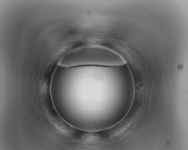 X0000094360597200711091517