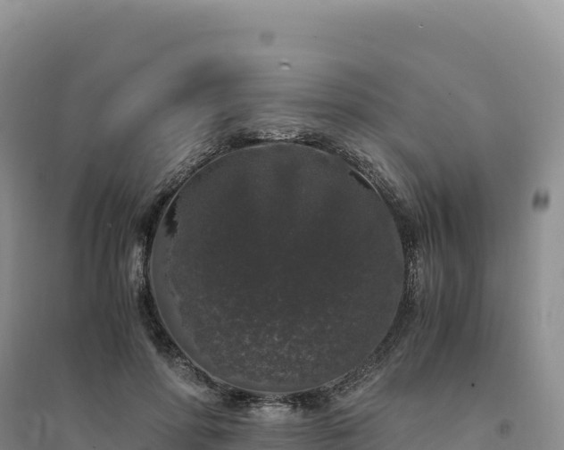 X0000094360598200711091517