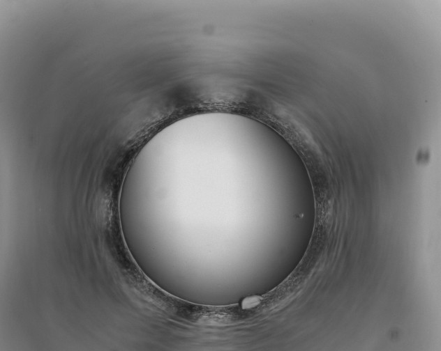 X0000094360599200711091517