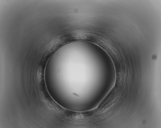 X0000094360600200711091517