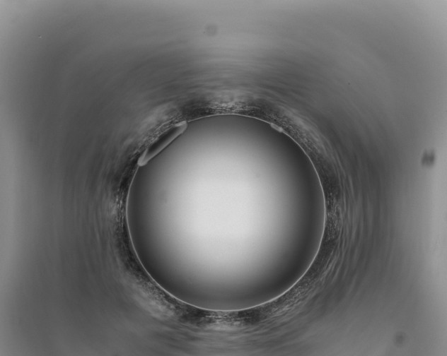 X0000094360601200711091516