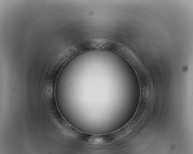 X0000094360602200711091516