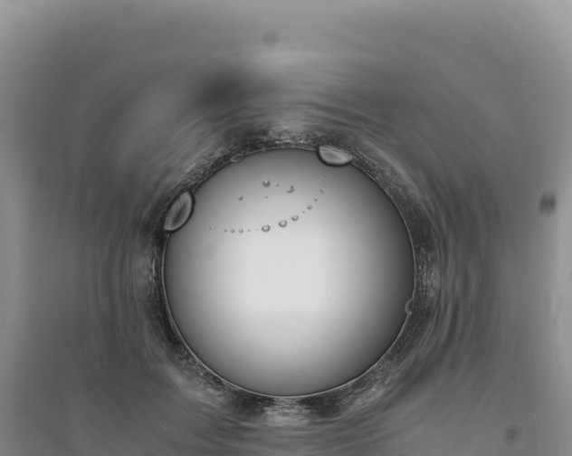X0000094360603200711091516