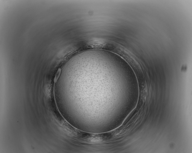 X0000094360604200711091516