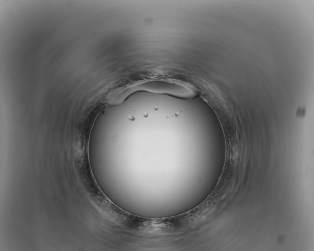 X0000094360607200711091516