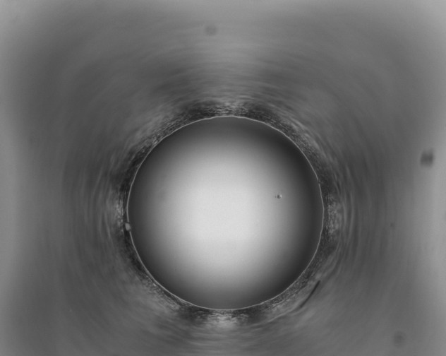 X0000094360613200711091516