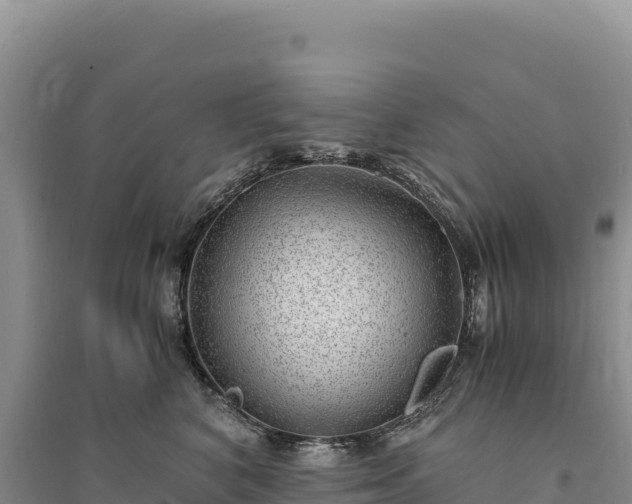 X0000094360616200711091516