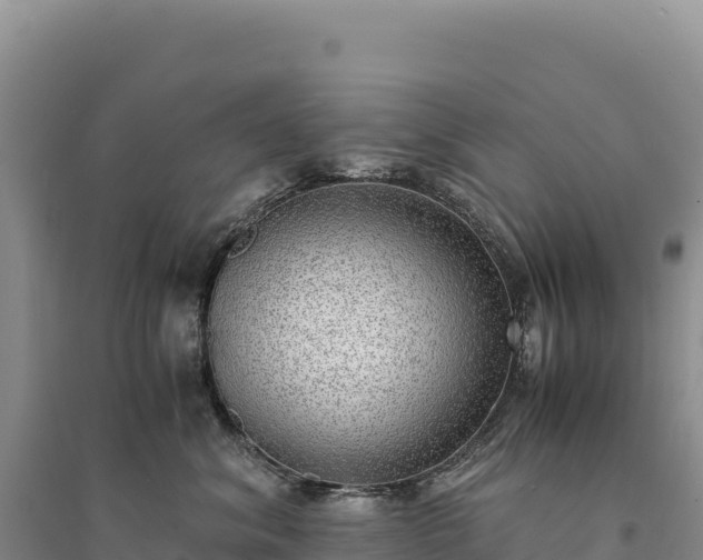 X0000094360620200711091516