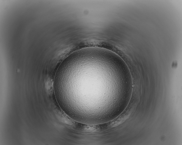X0000094360624200711091516