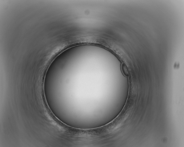 X0000094360625200711091516