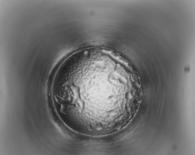 X0000094360626200711091516