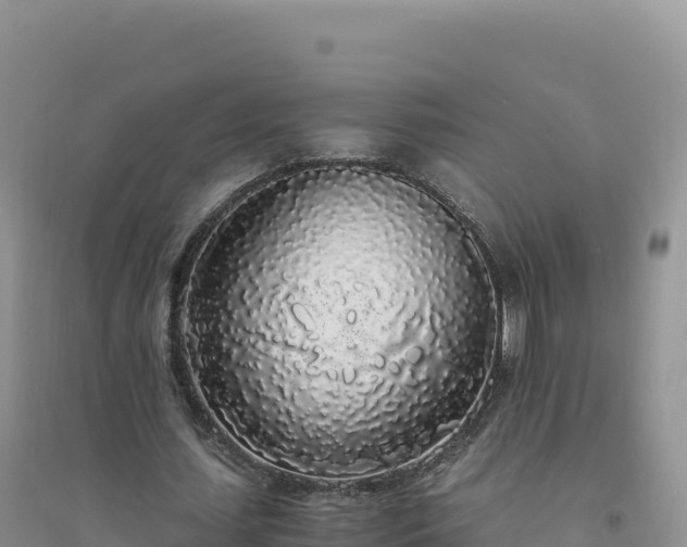X0000094360627200711091516