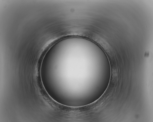 X0000094360628200711091516