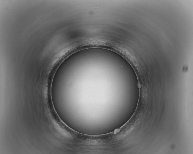 X0000094360629200711091516