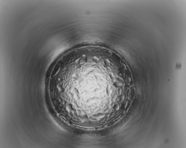 X0000094360630200711091516