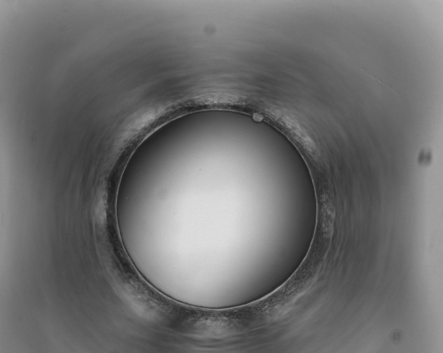 X0000094360631200711091516
