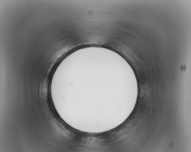X0000094360632200711091516
