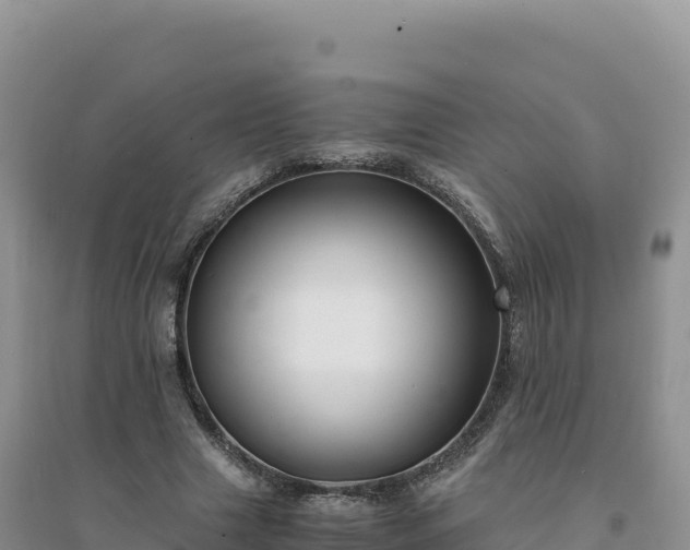 X0000094360633200711091516