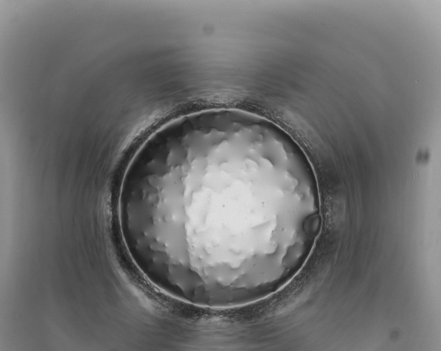 X0000094360634200711091516