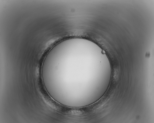X0000094360636200711091516