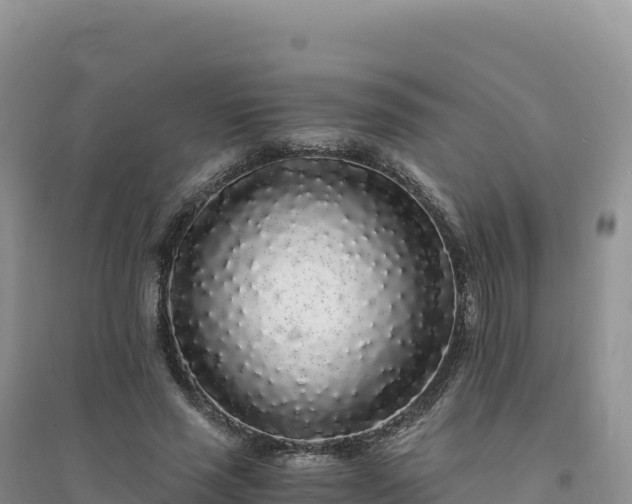 X0000094360637200711091516