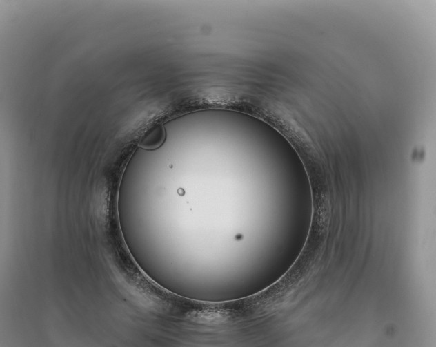 X0000094360639200711091516