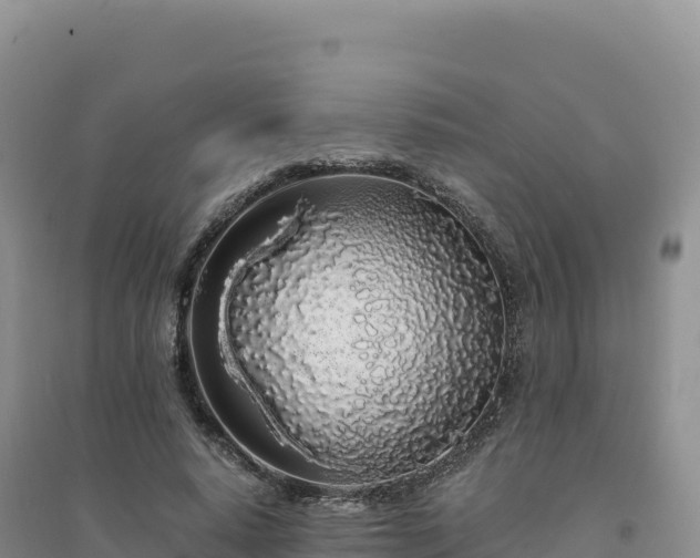 X0000094360640200711091516