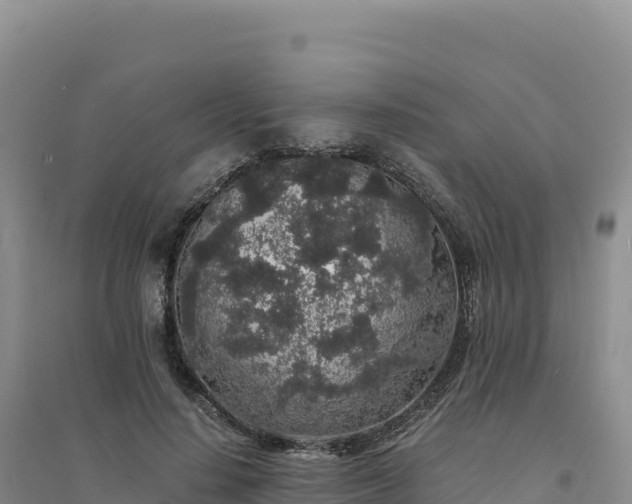 X0000094360644200711091516