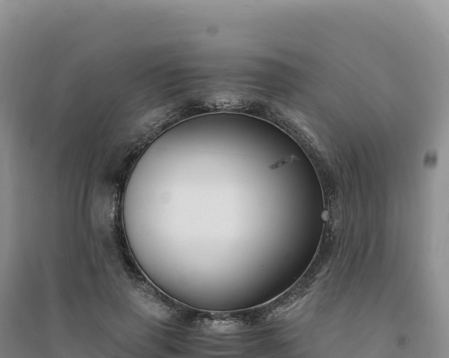 X0000094360645200711091516
