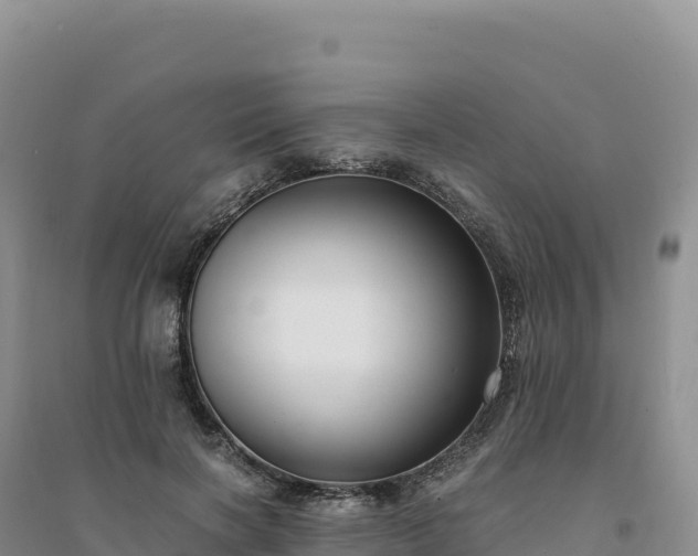 X0000094360646200711091516