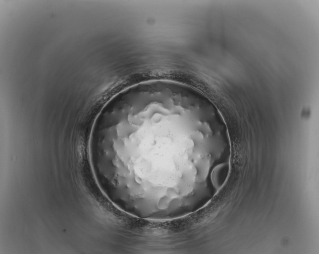 X0000094360648200711091516