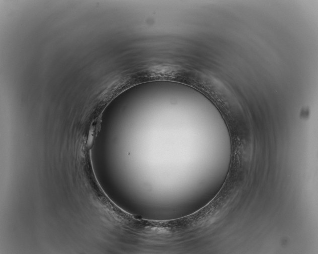 X0000094360649200711091516