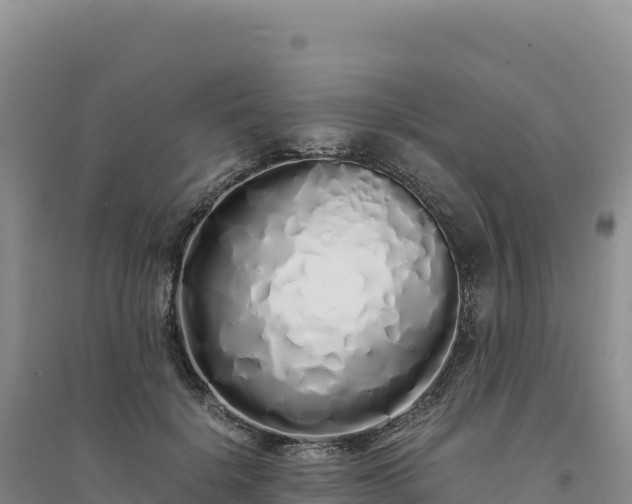 X0000094360652200711091516