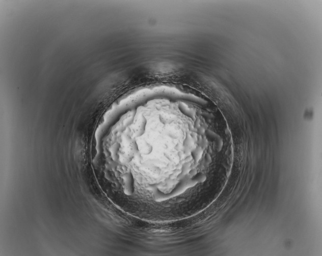 X0000094360653200711091516