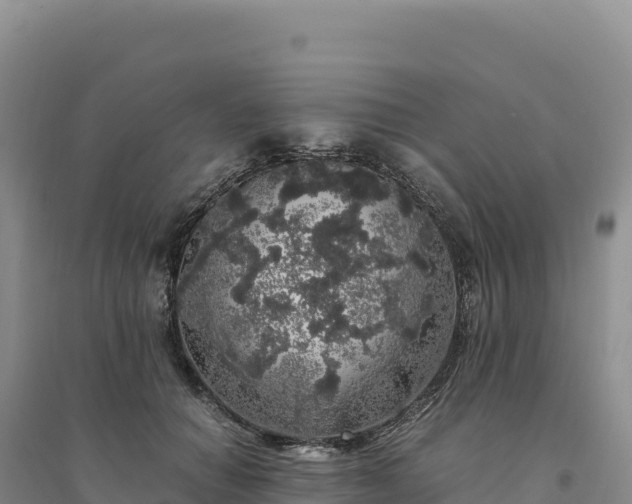 X0000094360654200711091516