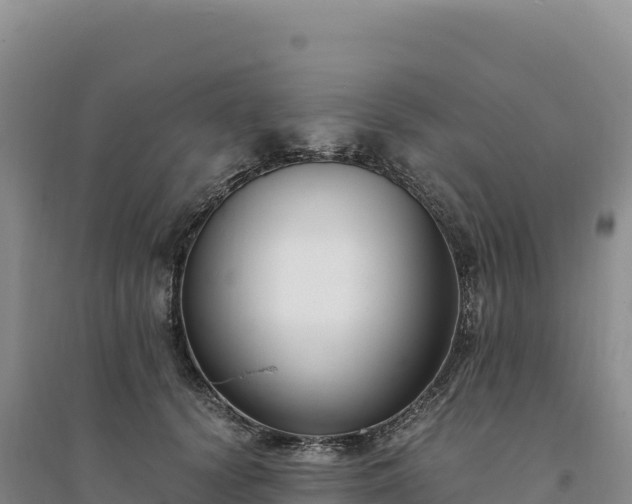 X0000094360656200711091516