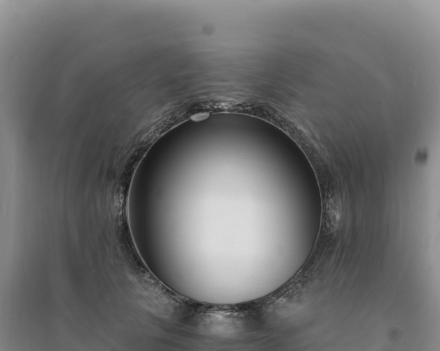 X0000094360657200711091516